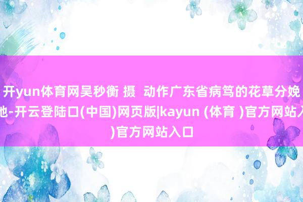 开yun体育网吴秒衡 摄  动作广东省病笃的花草分娩基地-开云登陆口(中国)网页版|kayun (体育 )官方网站入口